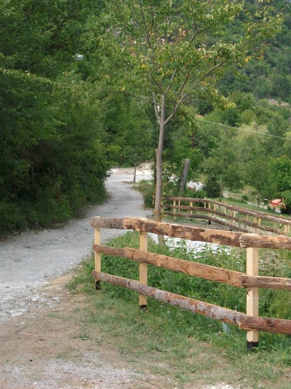 Camping Panoramique Du Verdon カステラーヌ エクステリア 写真